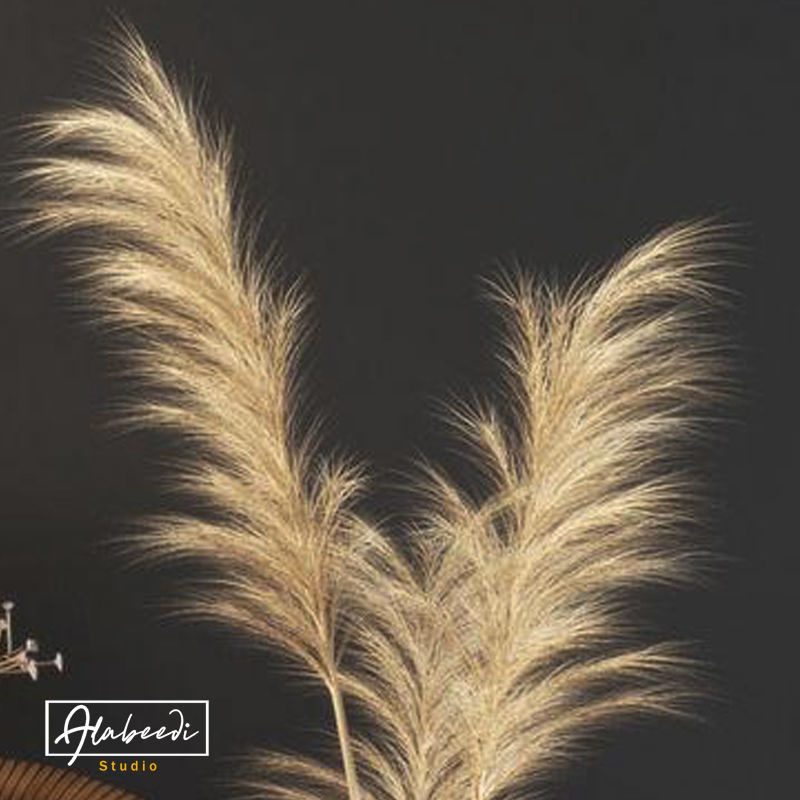 Dried Pampas grass gray  3D model_1