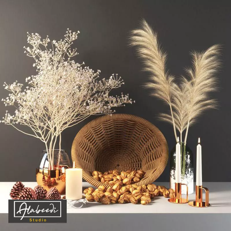 Dried Pampas grass gray  3D model_0