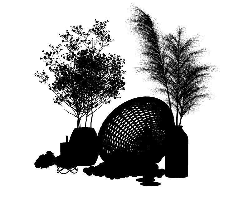 Dried Pampas grass gray  3D model_3