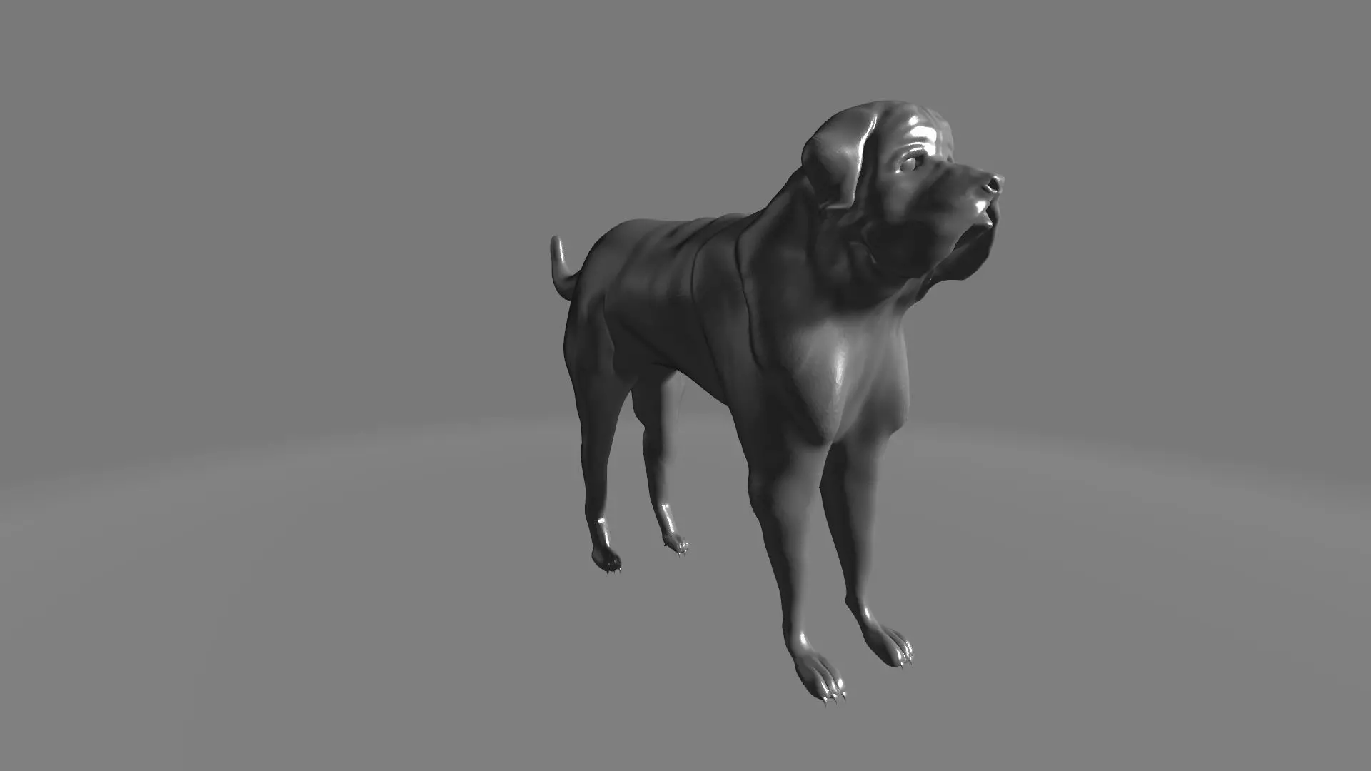 English Mastiff 3D model_0