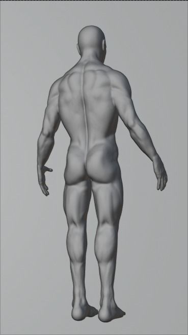 Full Human Body with armature 3D model_9