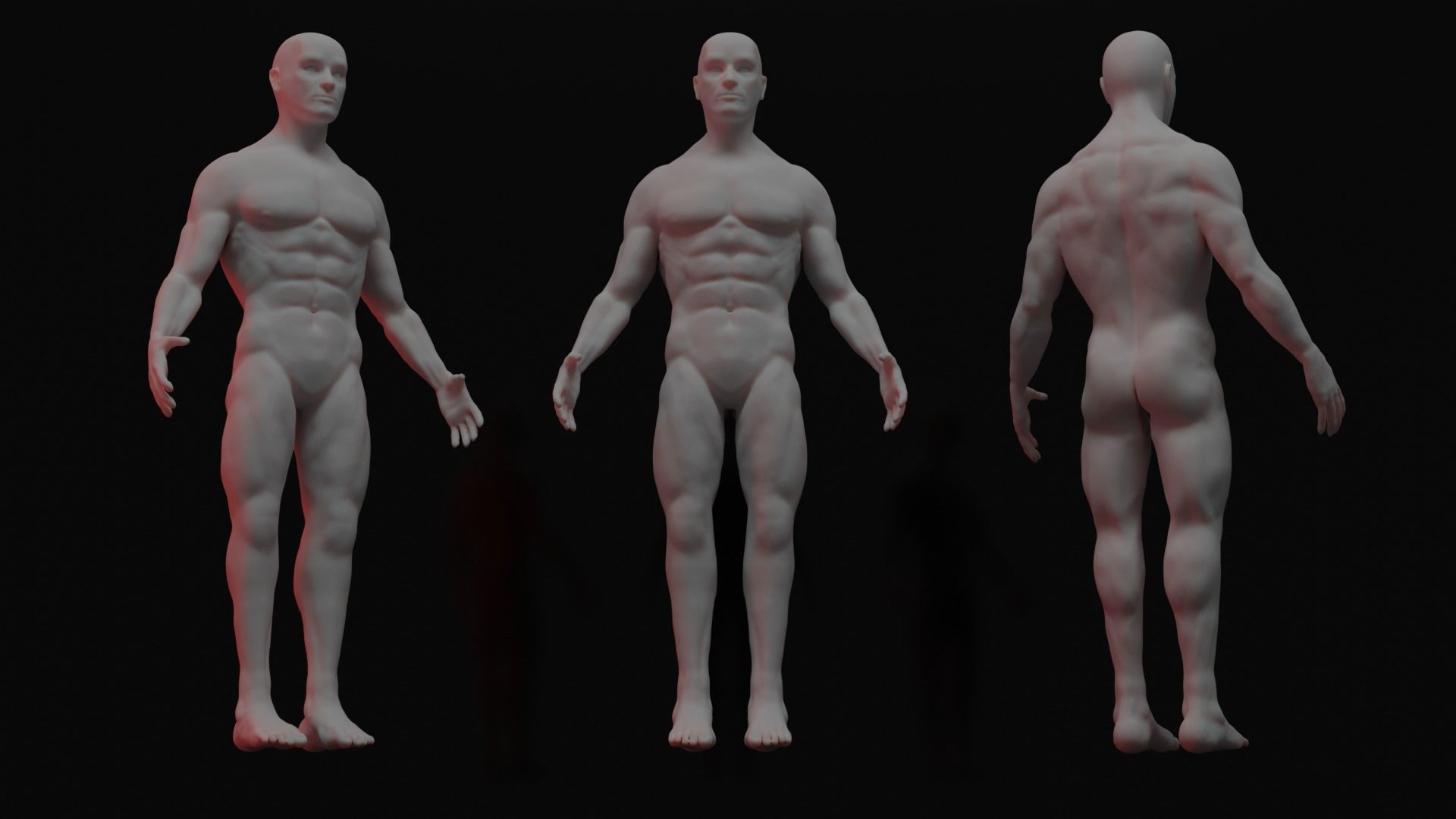 Full Human Body with armature 3D model_2