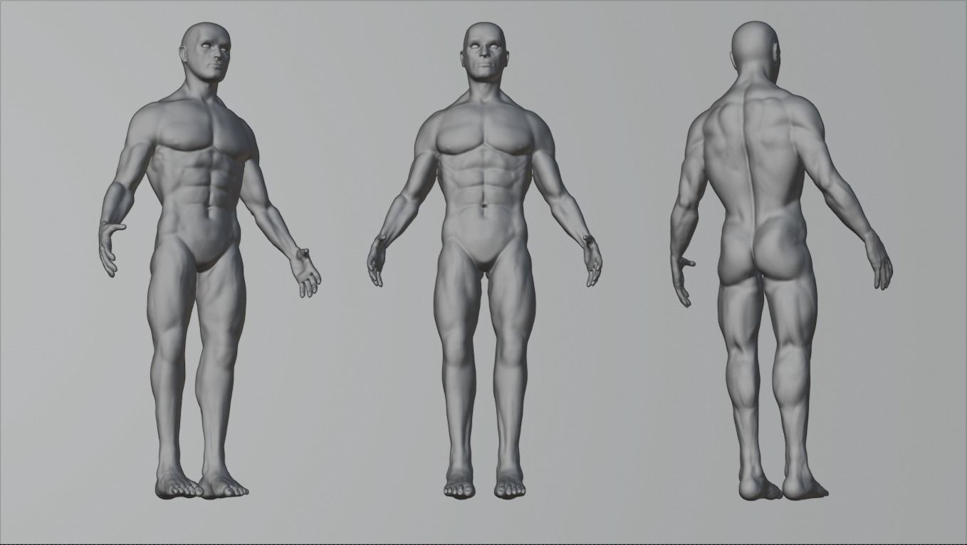 Full Human Body with armature 3D model_3