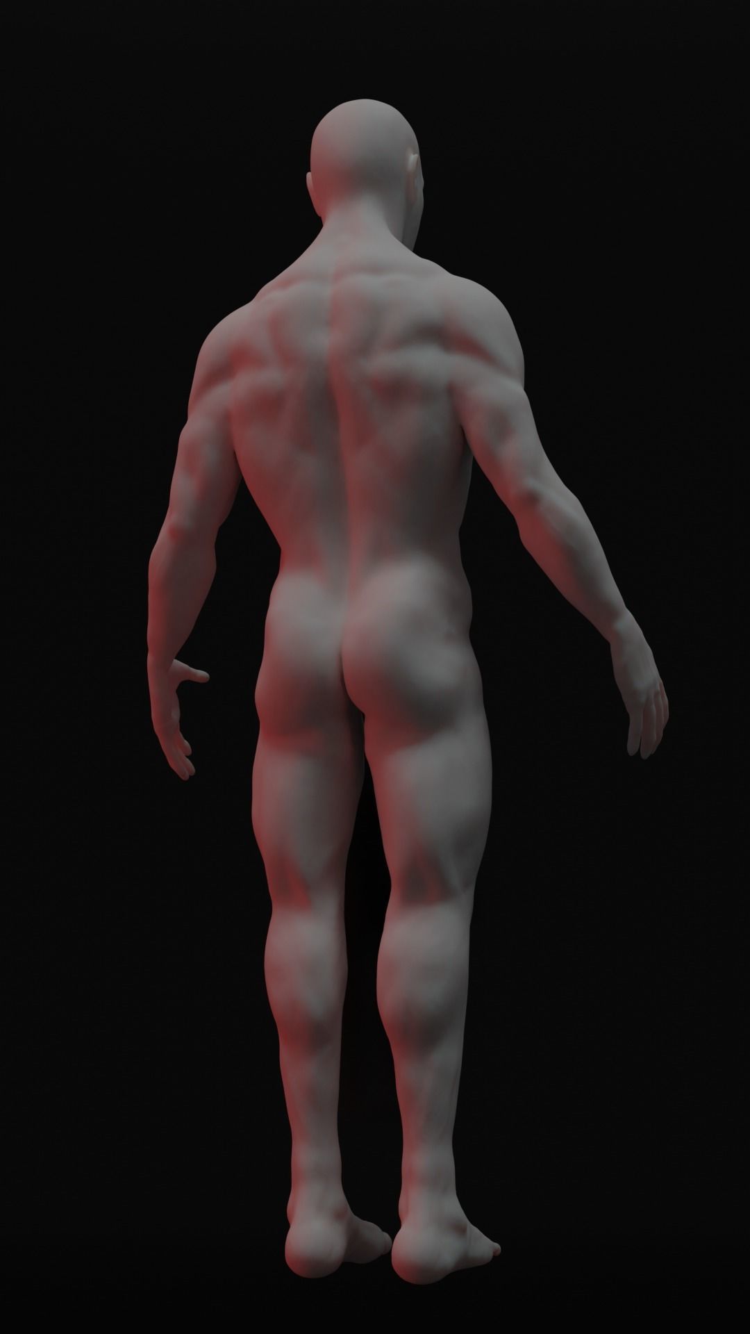 Full Human Body with armature 3D model_8