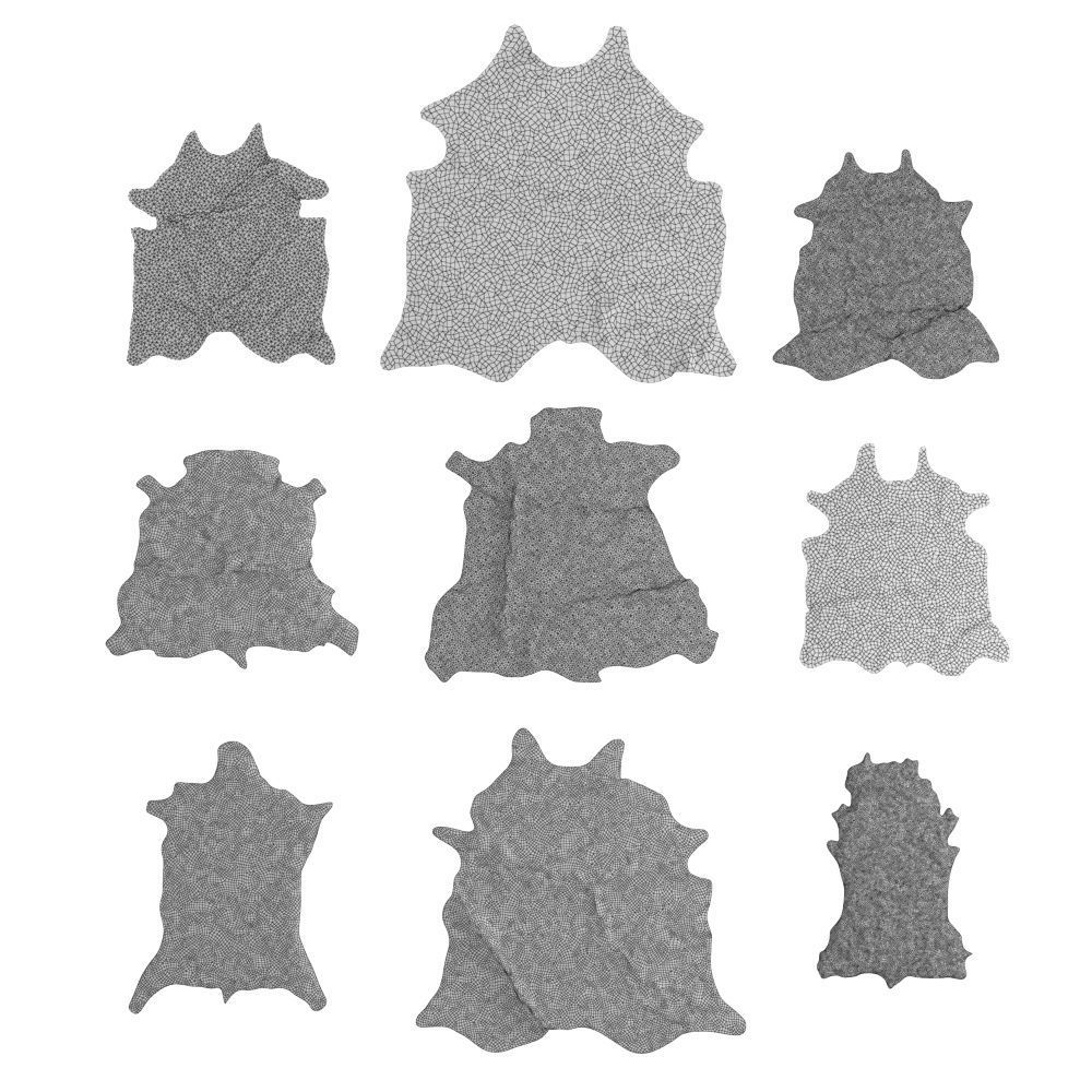 Nine Rugs From Animal Skins 10 3D model_9