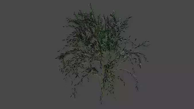 Pohon Krisdoren 3D model