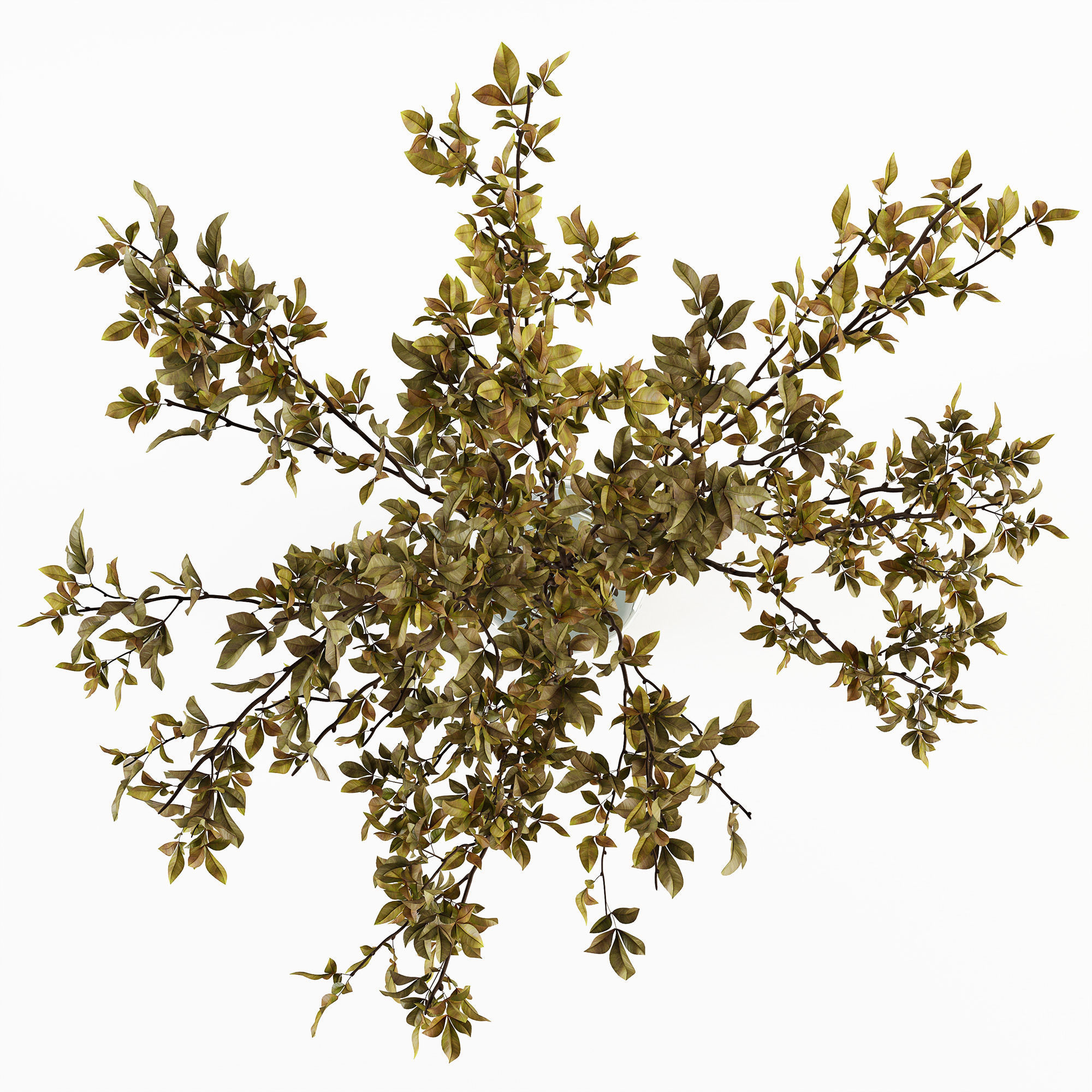 Branches in a vase 013 3D model_6