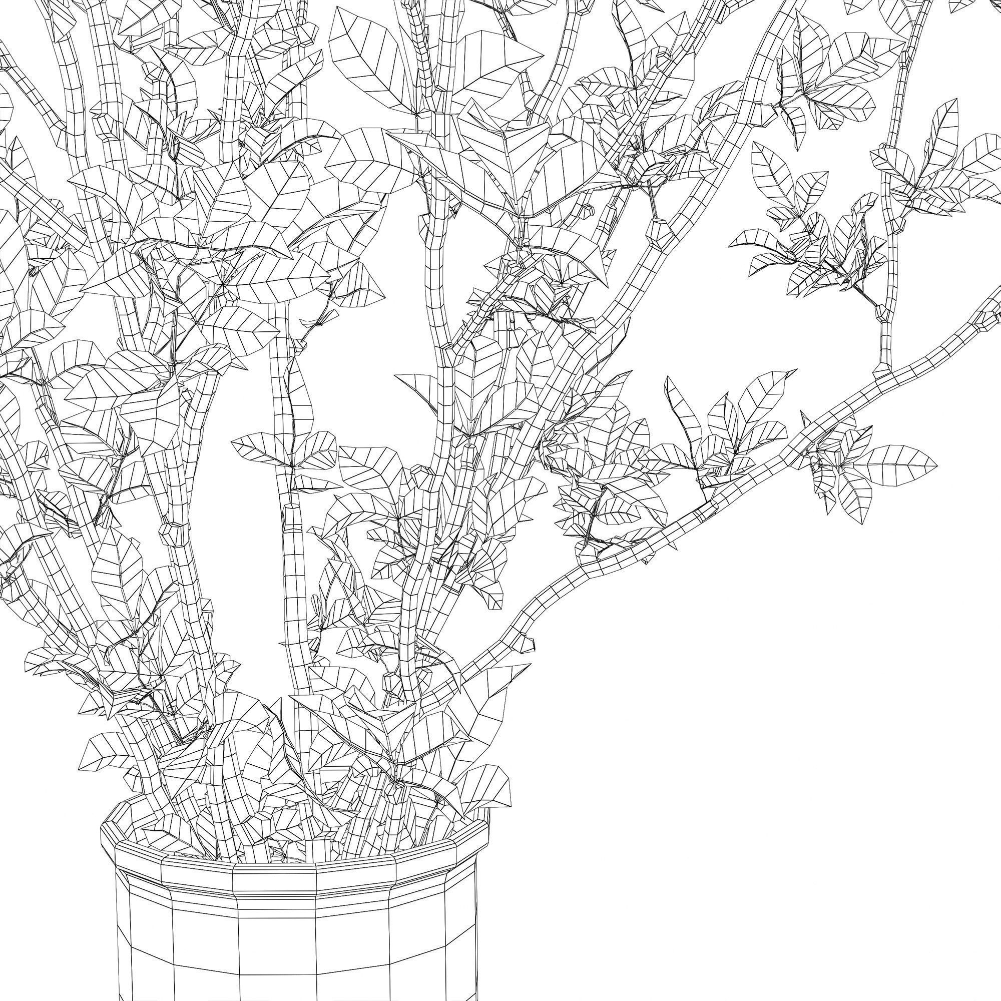 Branches in a vase 013 3D model_9