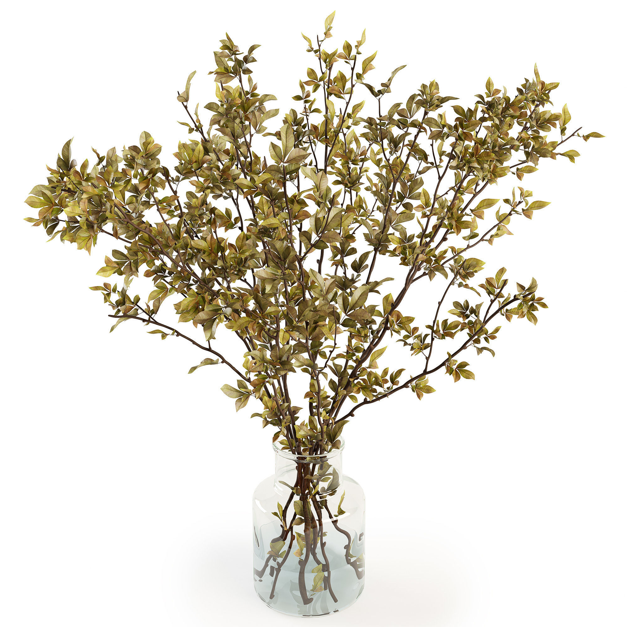 Branches in a vase 013 3D model_3