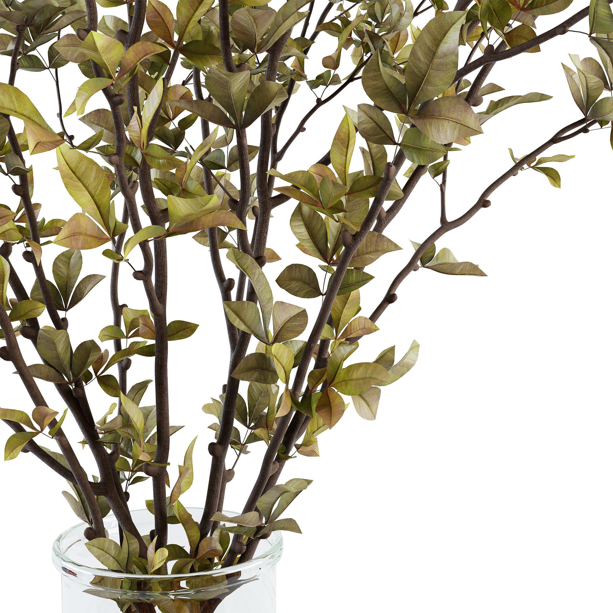 Branches in a vase 013 3D model_1