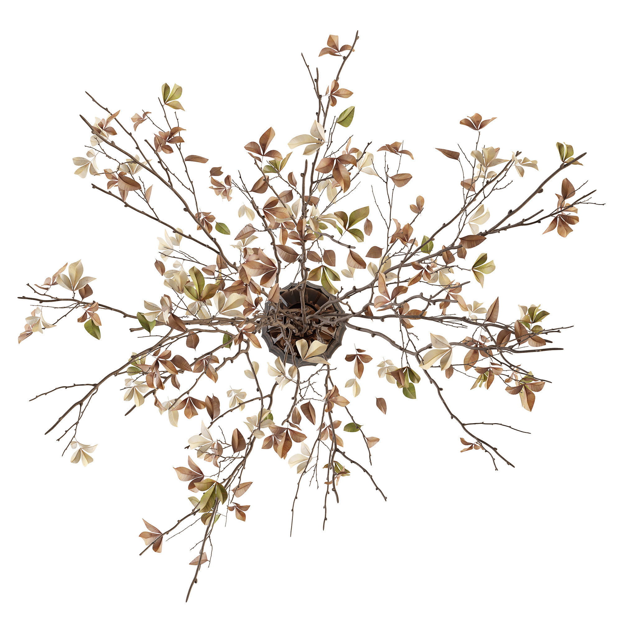 Branches in a vase 014 3D model_6
