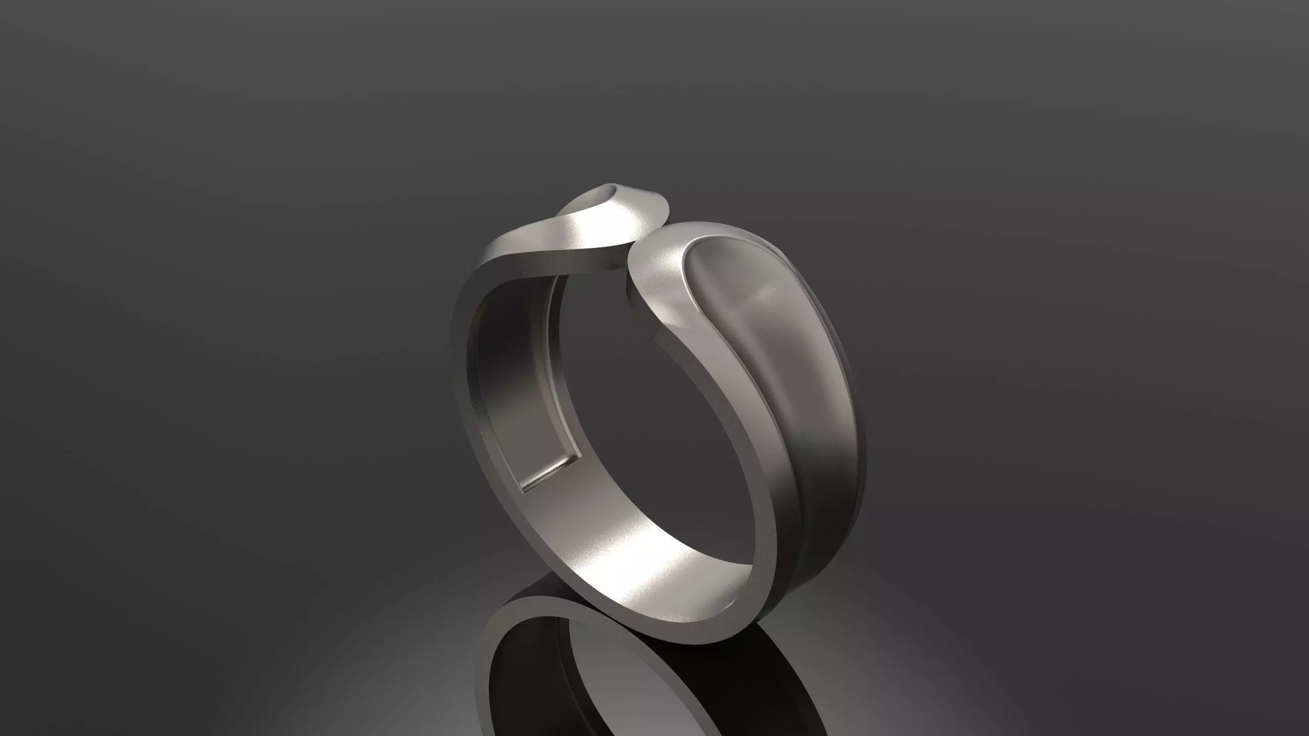 Band Ring 11 3D print model_0