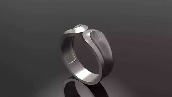 Band Ring 11 3D print model