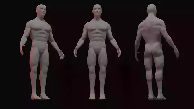 Full Human Body with armature 3D model