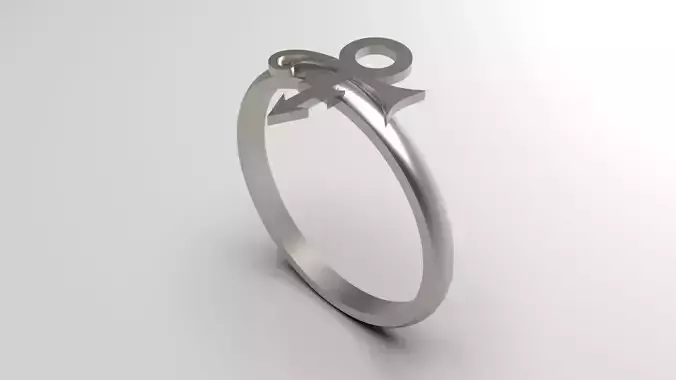 Prince Sott Mini Vertical Love Ring in Eu Size 3D print model