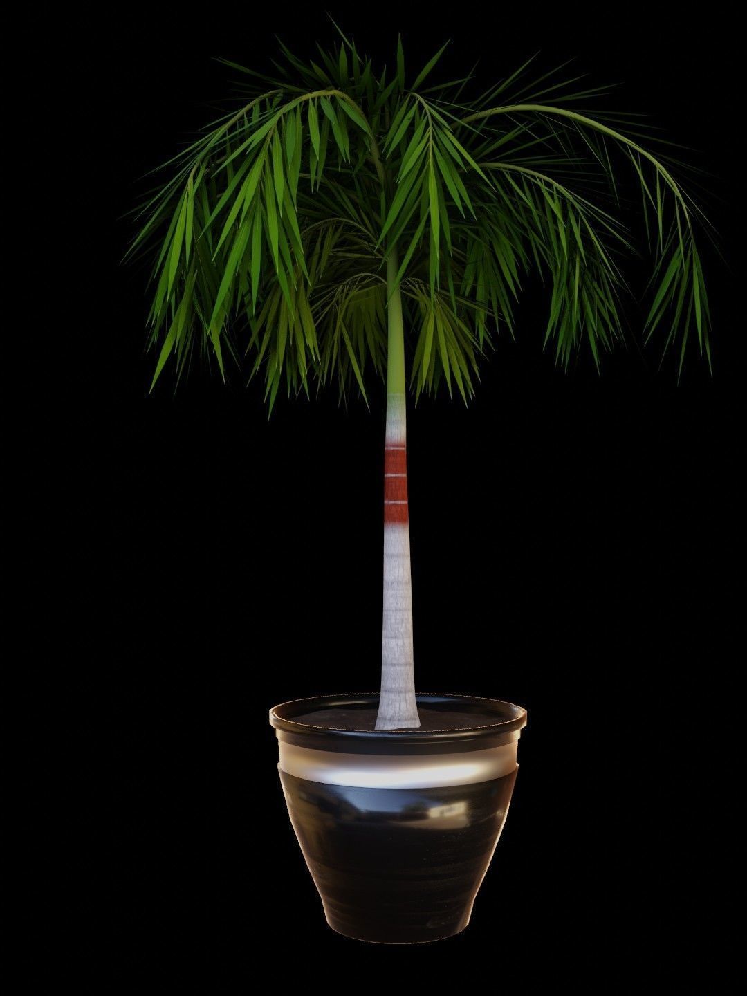 Potted Palm tree Animated and Rigged Low-poly 3D model_4