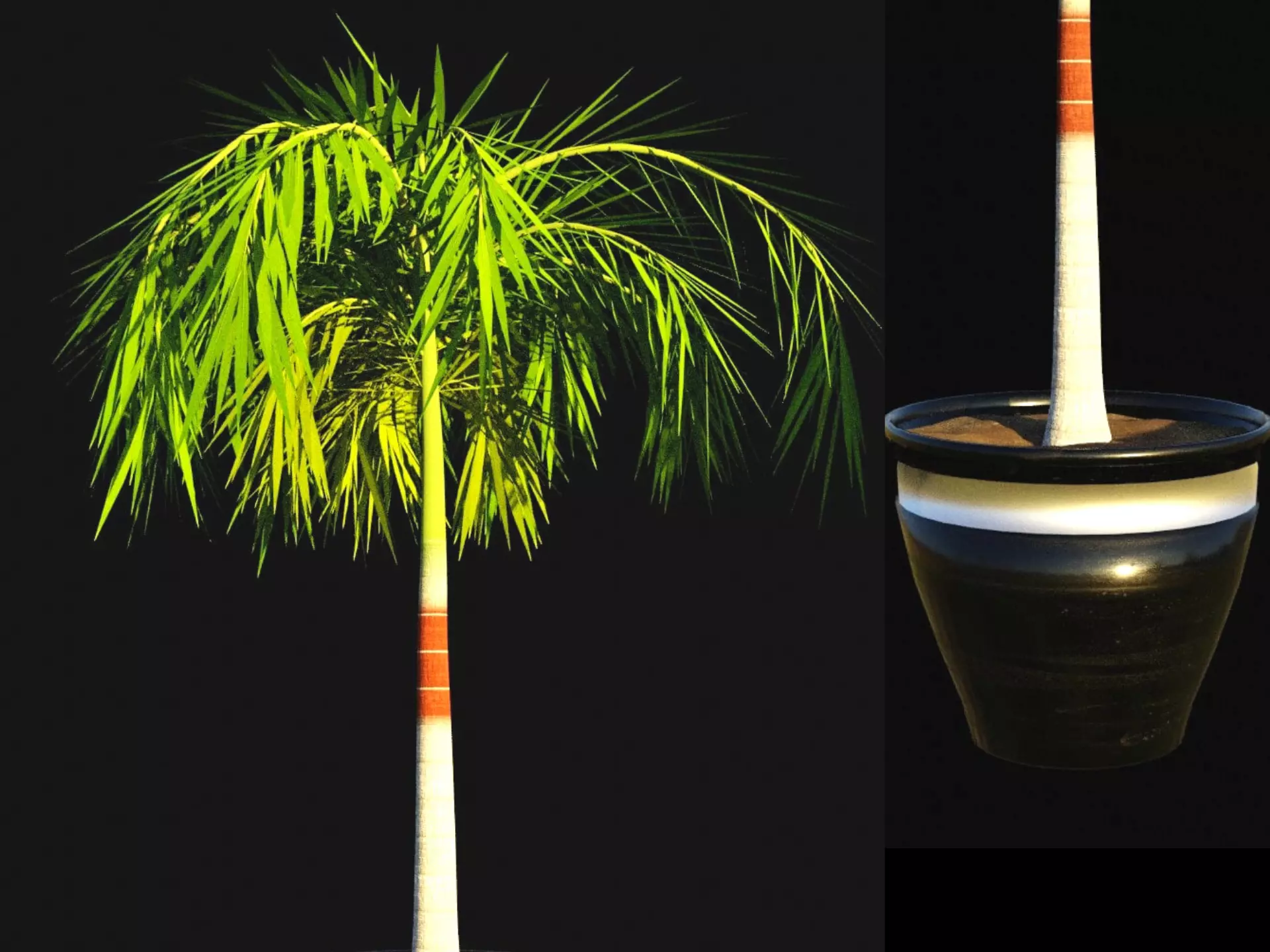 Potted Palm tree Animated and Rigged Low-poly 3D model_0