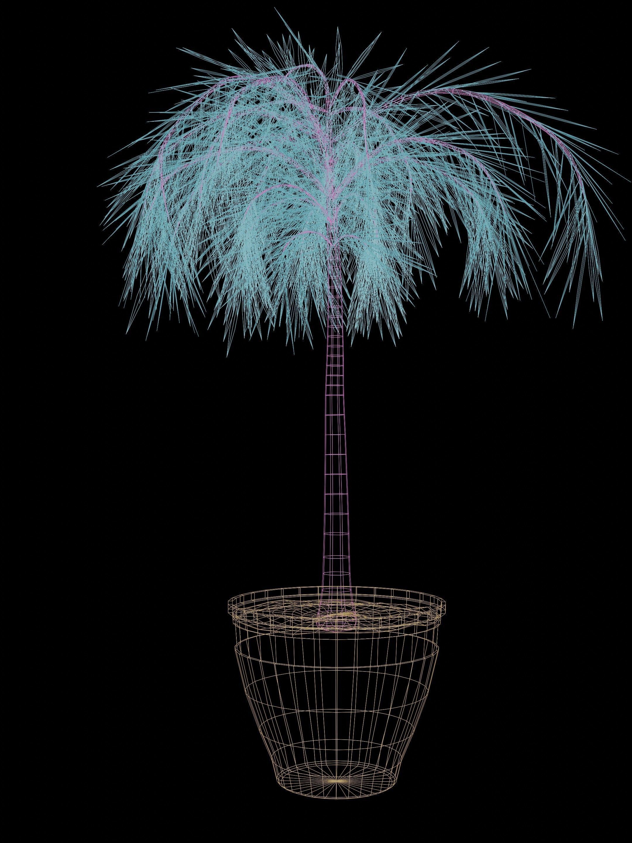 Potted Palm tree Animated and Rigged Low-poly 3D model_10