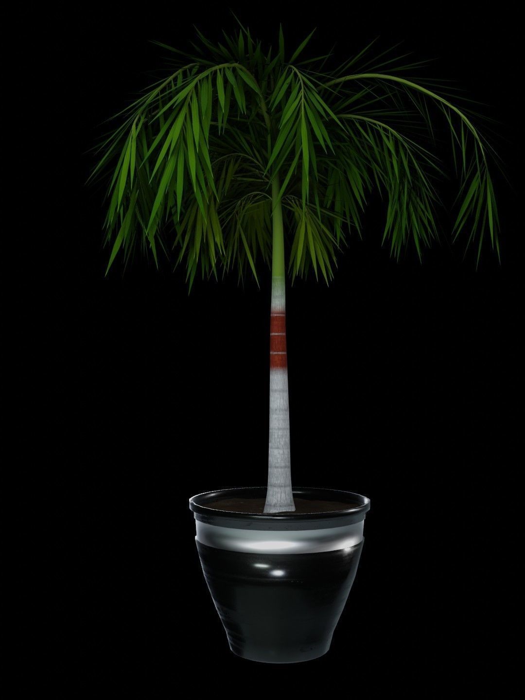 Potted Palm tree Animated and Rigged Low-poly 3D model_5