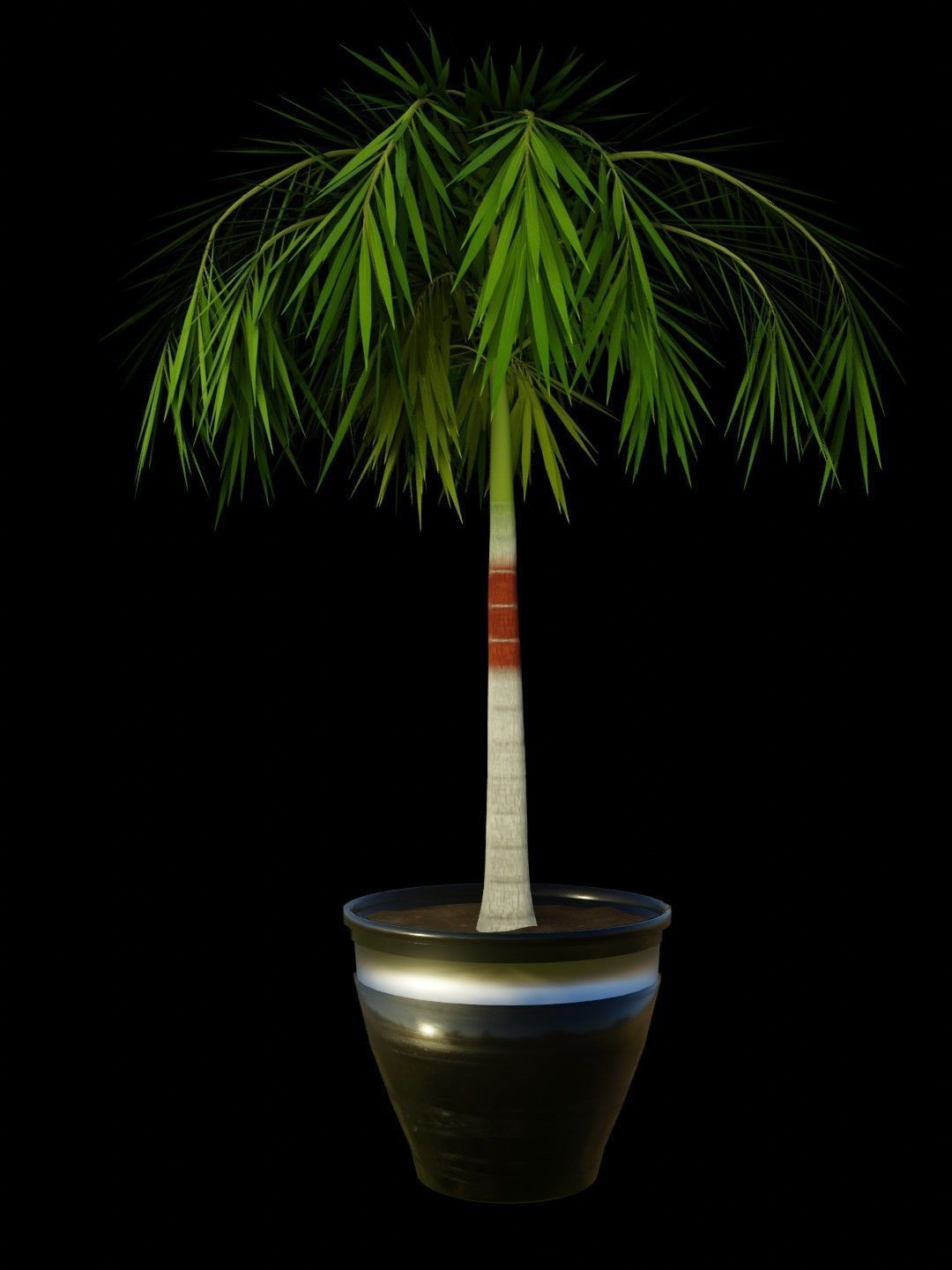 Potted Palm tree Animated and Rigged Low-poly 3D model_3
