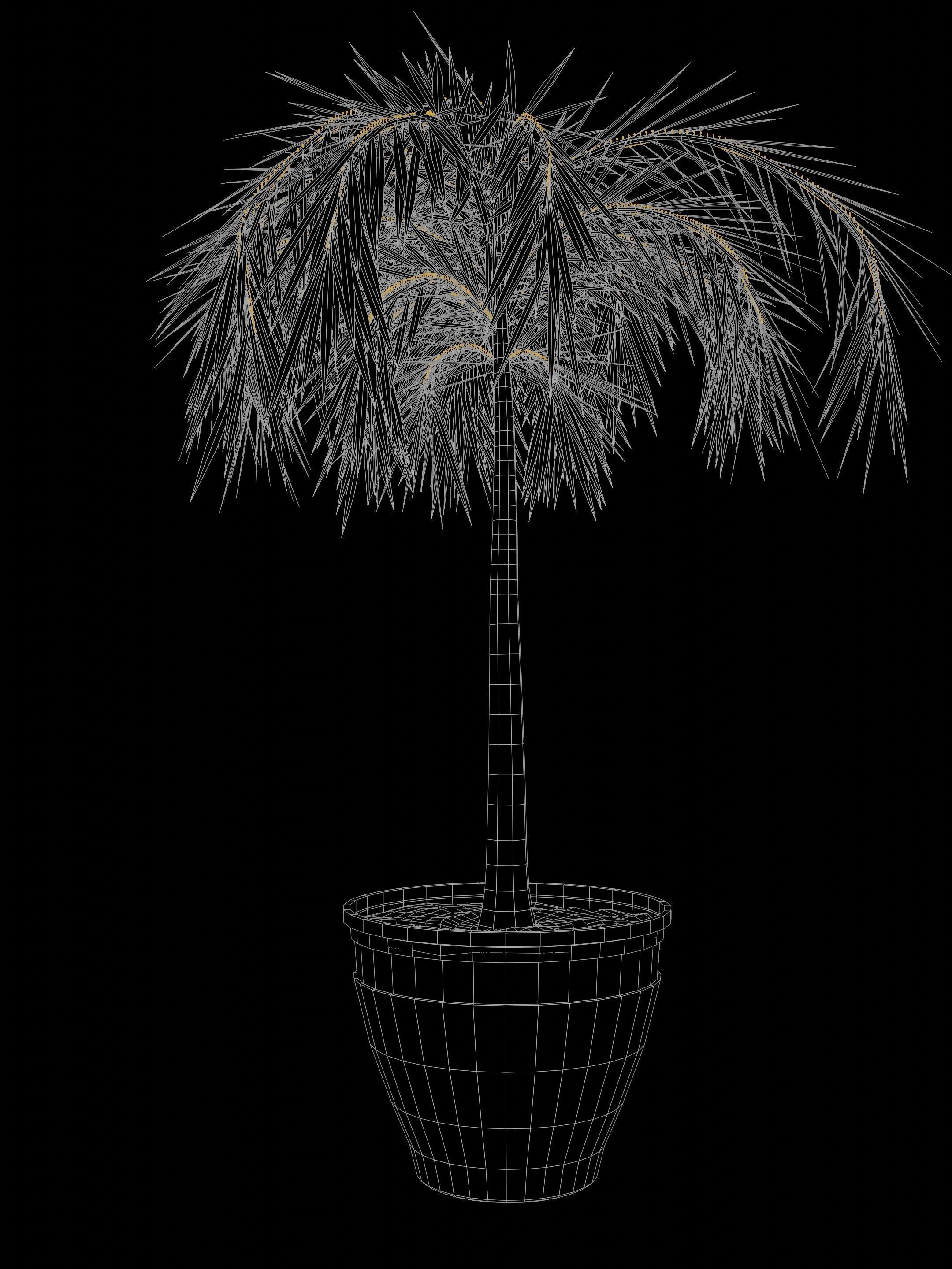 Potted Palm tree Animated and Rigged Low-poly 3D model_11