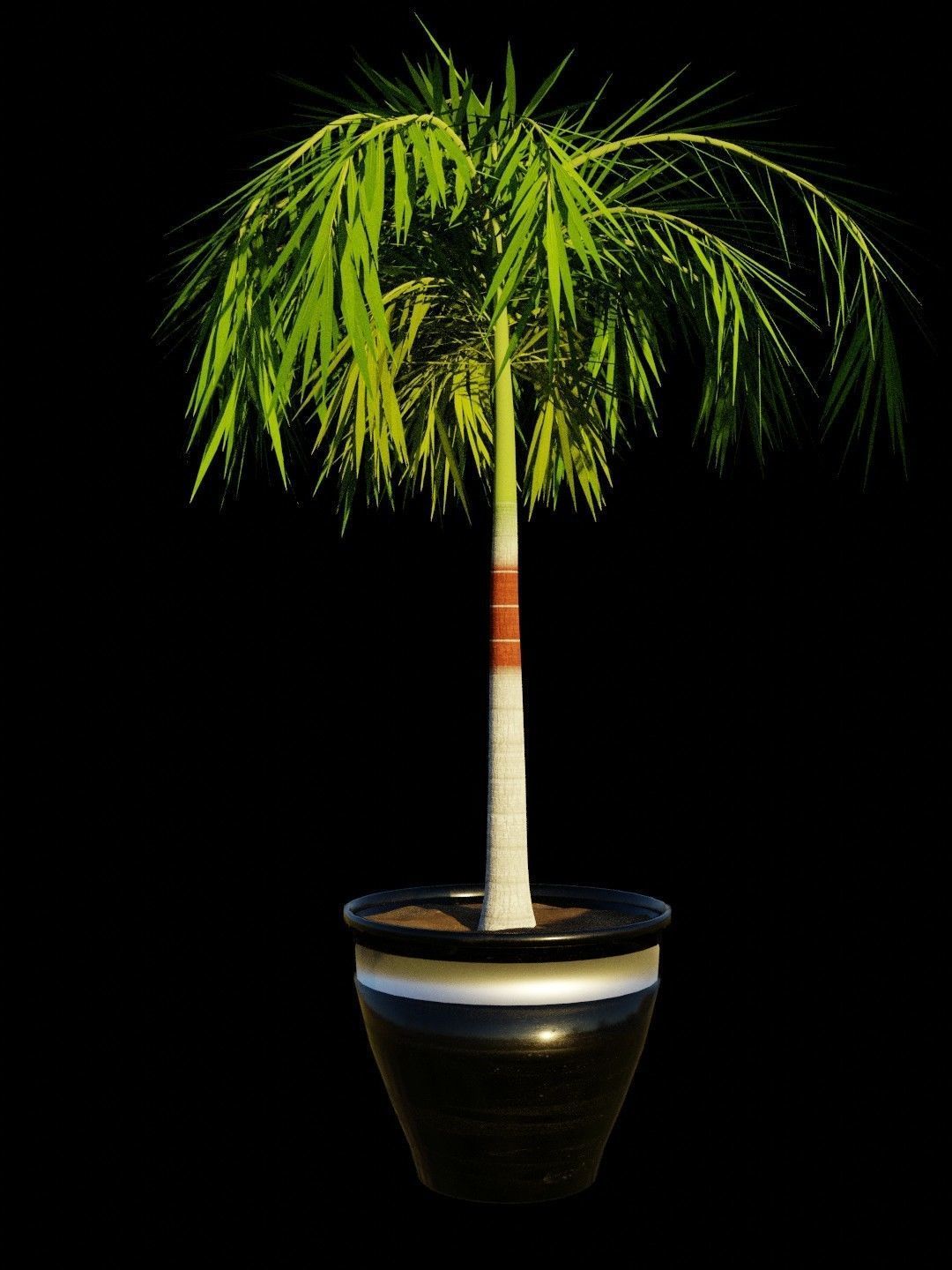 Potted Palm tree Animated and Rigged Low-poly 3D model_2
