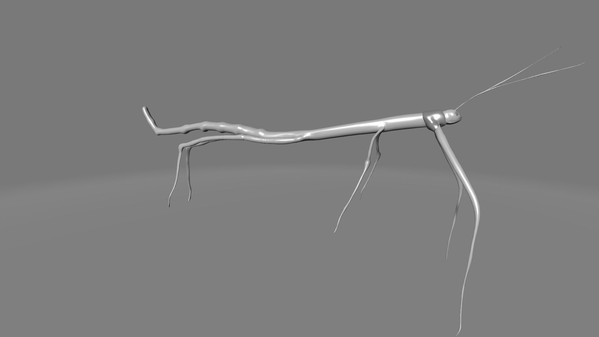 Phryganistria praying mantis 3D model_2