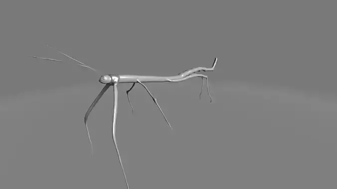 Phryganistria praying mantis