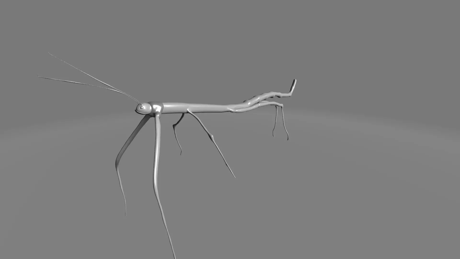 Phryganistria praying mantis 3D model_0