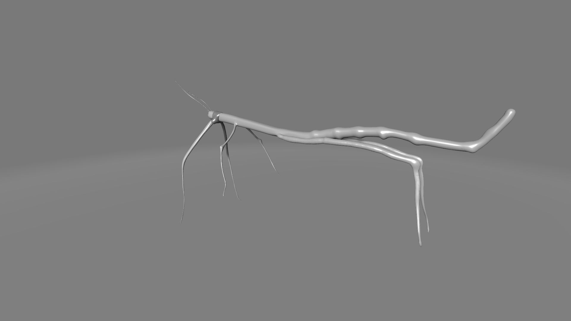 Phryganistria praying mantis 3D model_1
