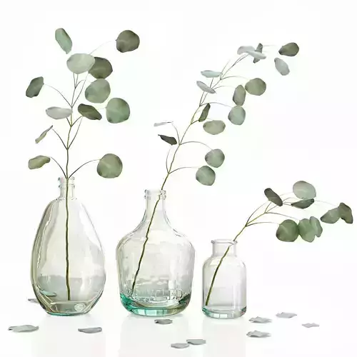 Eucalyptus 2 leaves in glass vases
