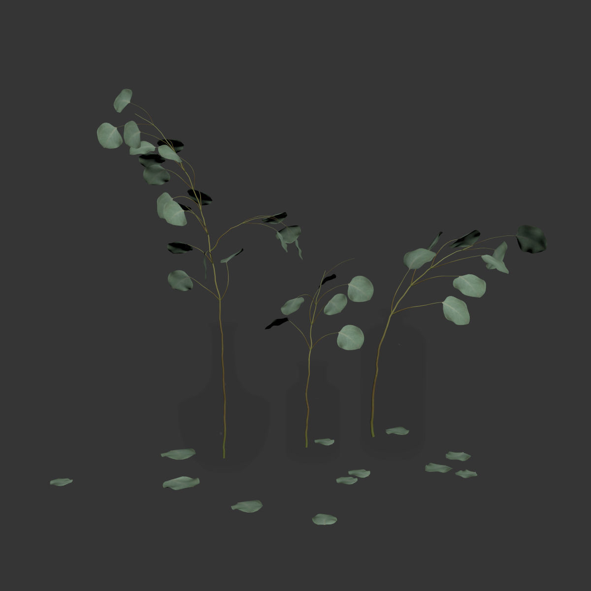 Eucalyptus 4 leaves in glass vases 3D model_4