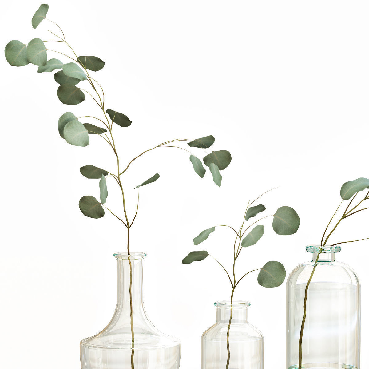 Eucalyptus 4 leaves in glass vases 3D model_3