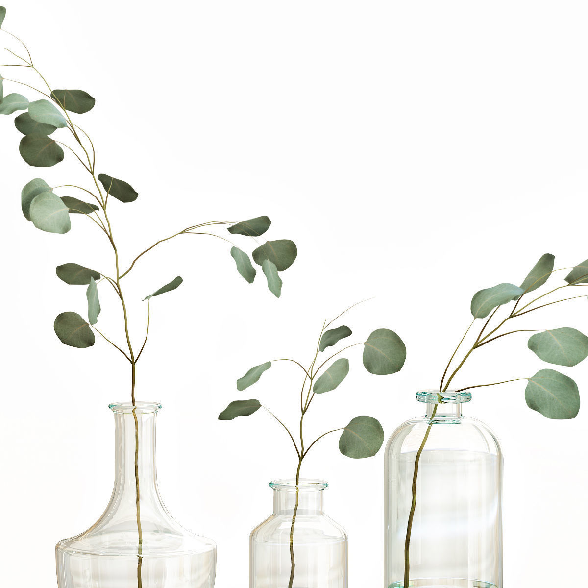 Eucalyptus 4 leaves in glass vases 3D model_2