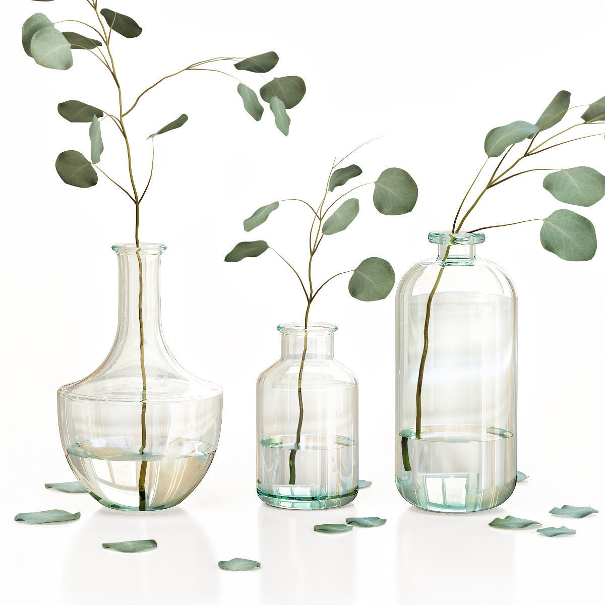 Eucalyptus 4 leaves in glass vases 3D model_1