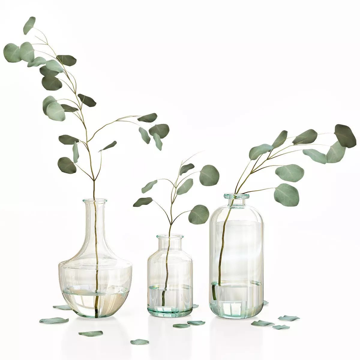 Eucalyptus 4 leaves in glass vases 3D model_0