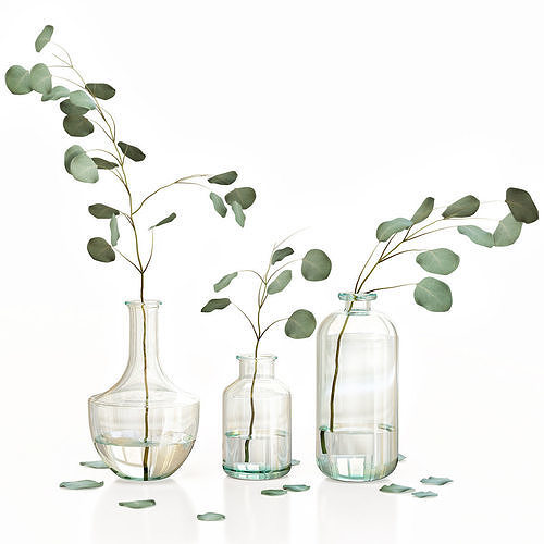 Eucalyptus 4 leaves in glass vases 3D model