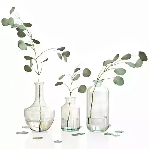 Eucalyptus 4 leaves in glass vases