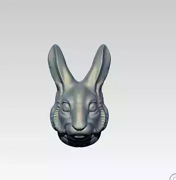 Rabbit head