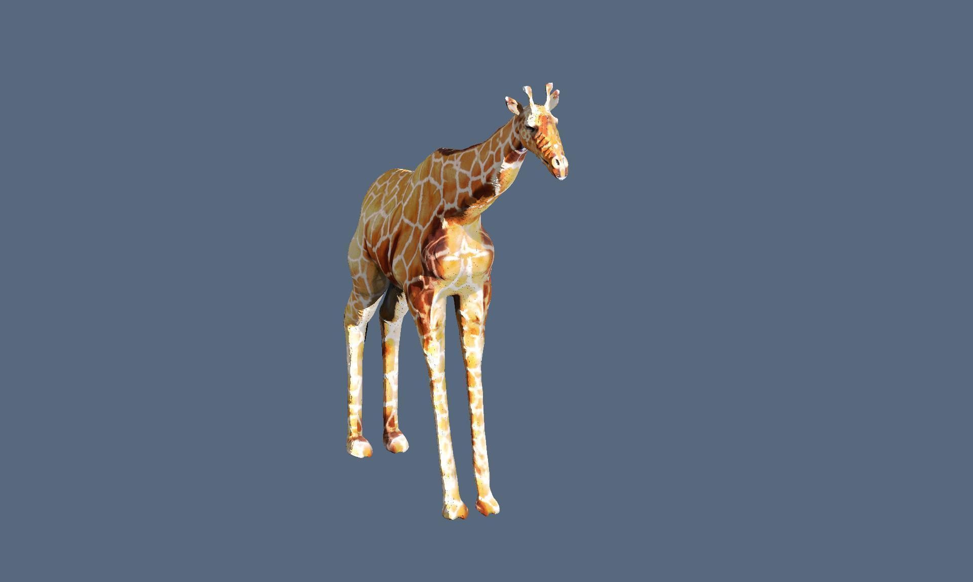 giraffe 3D model_3