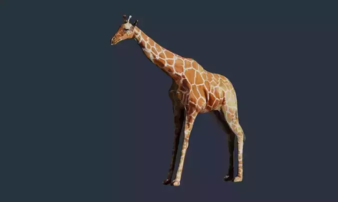 giraffe 3D model