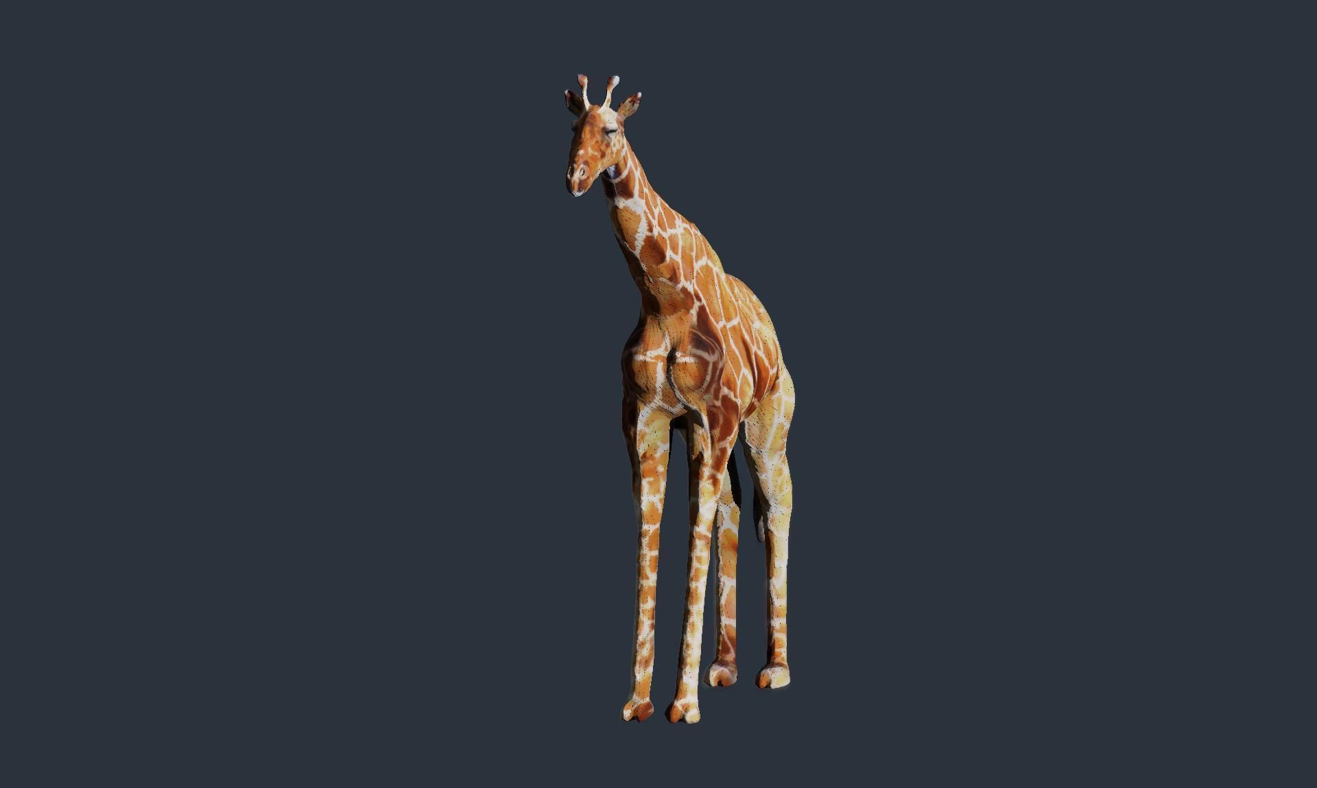 giraffe 3D model_1