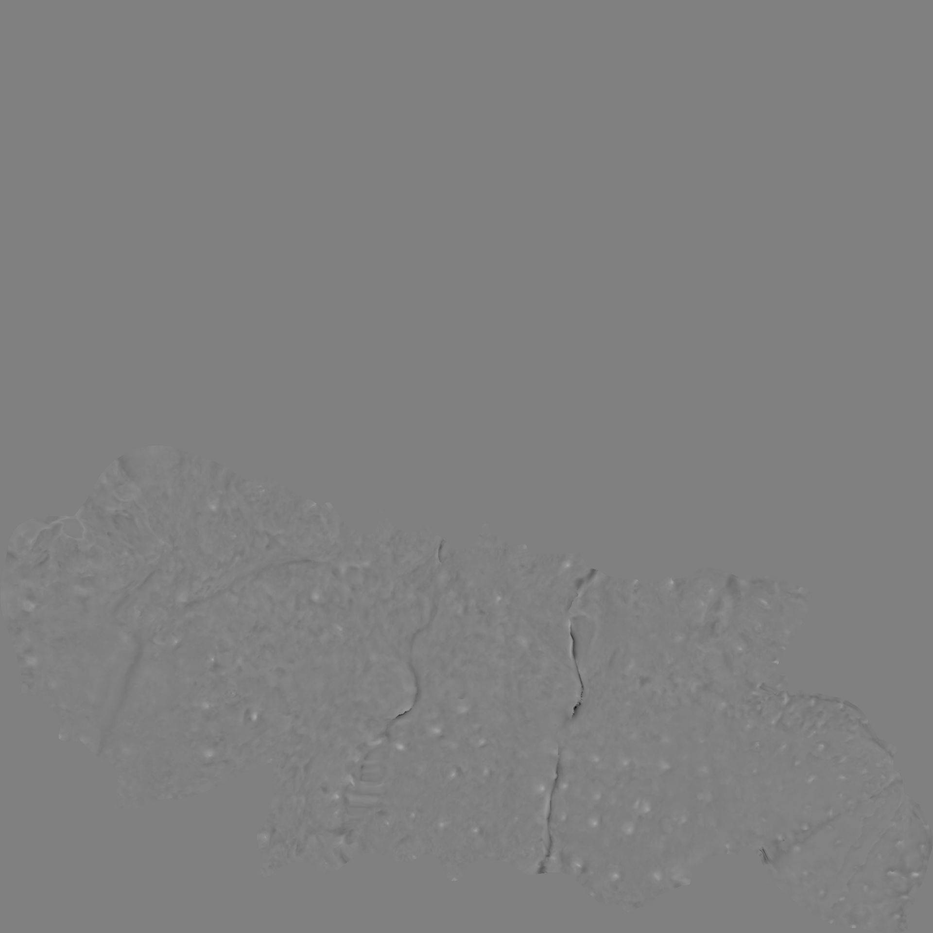 King crab 3D model_15