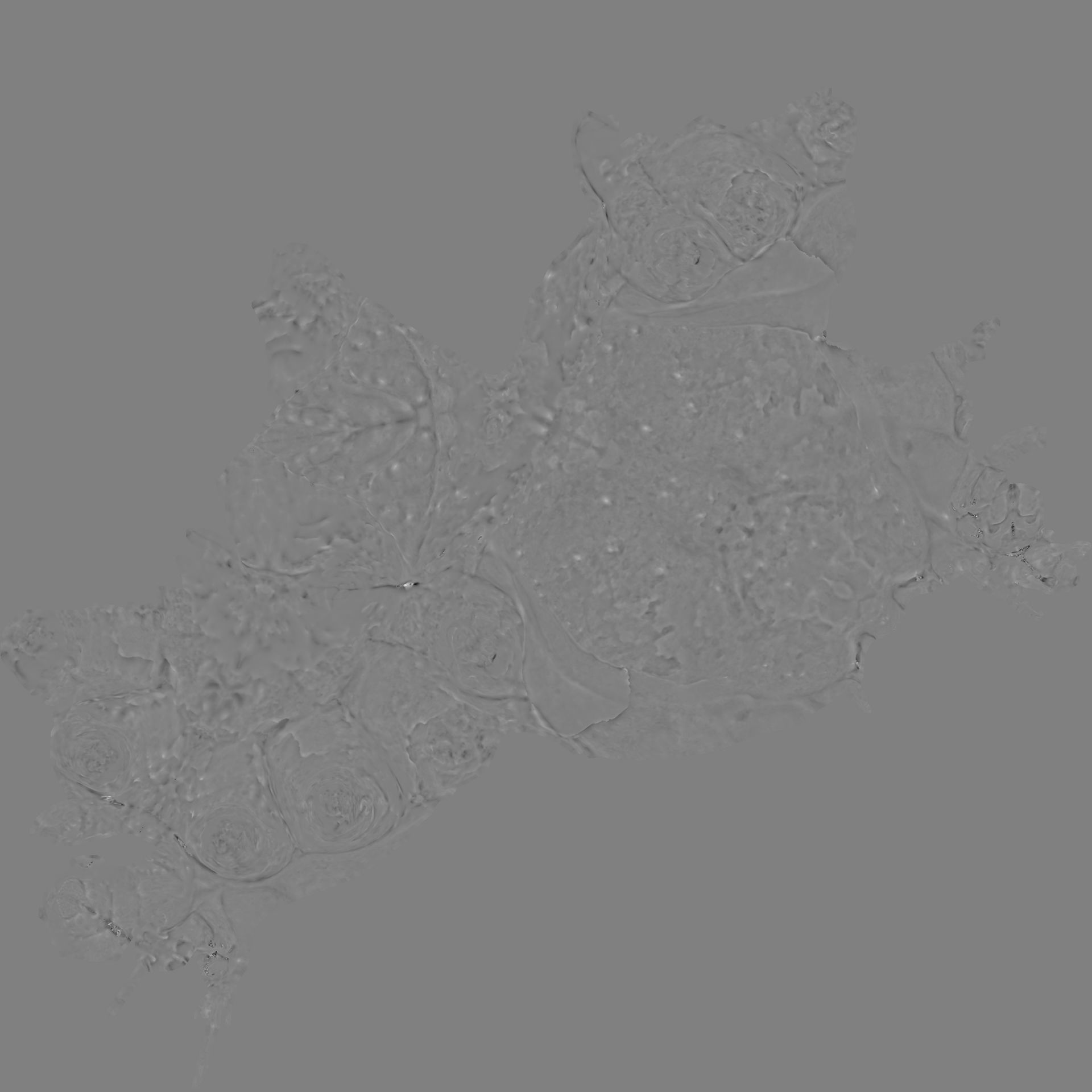 King crab 3D model_12