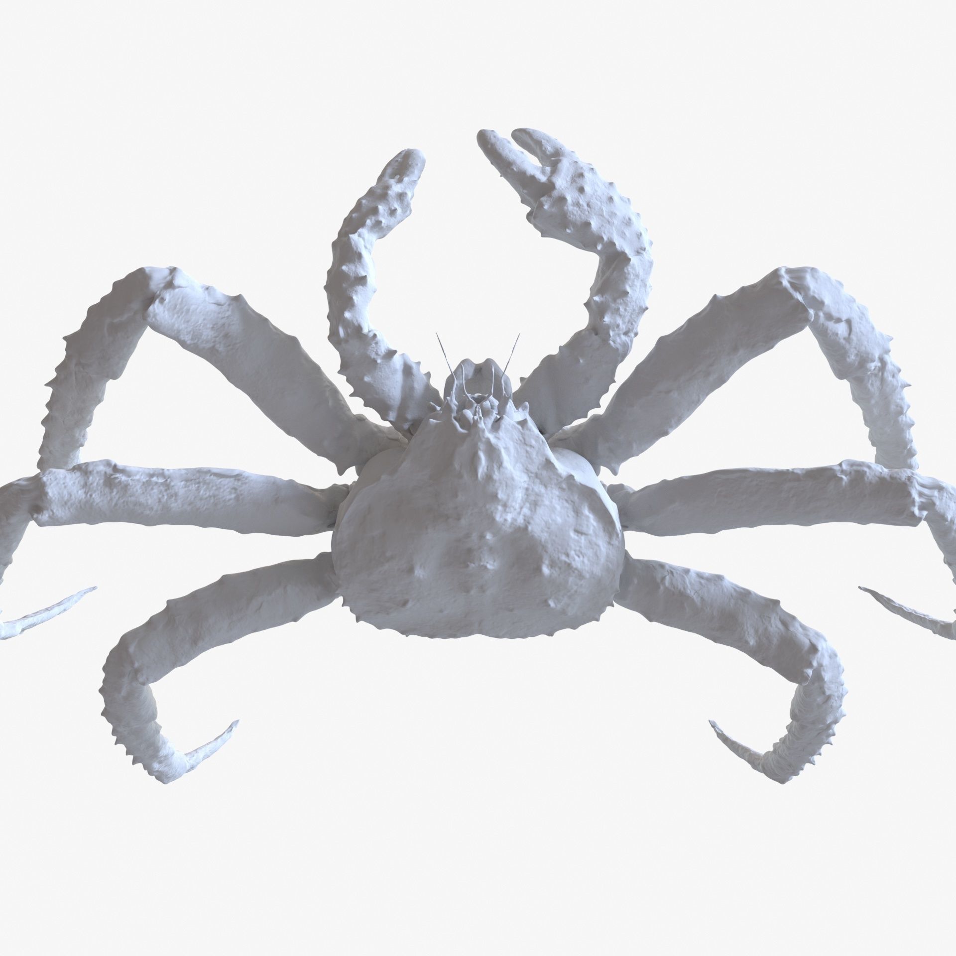 King crab 3D model_8