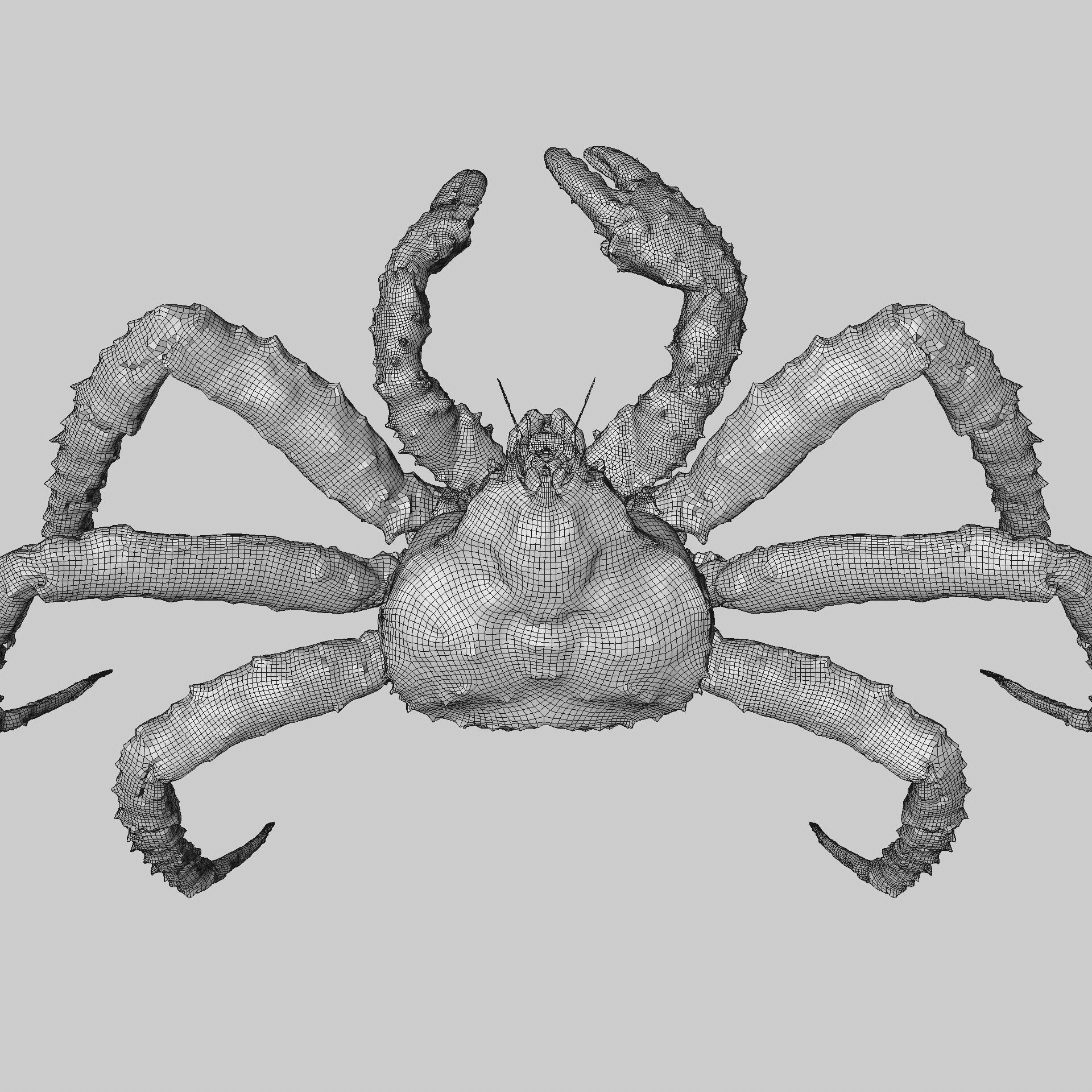 King crab 3D model_9