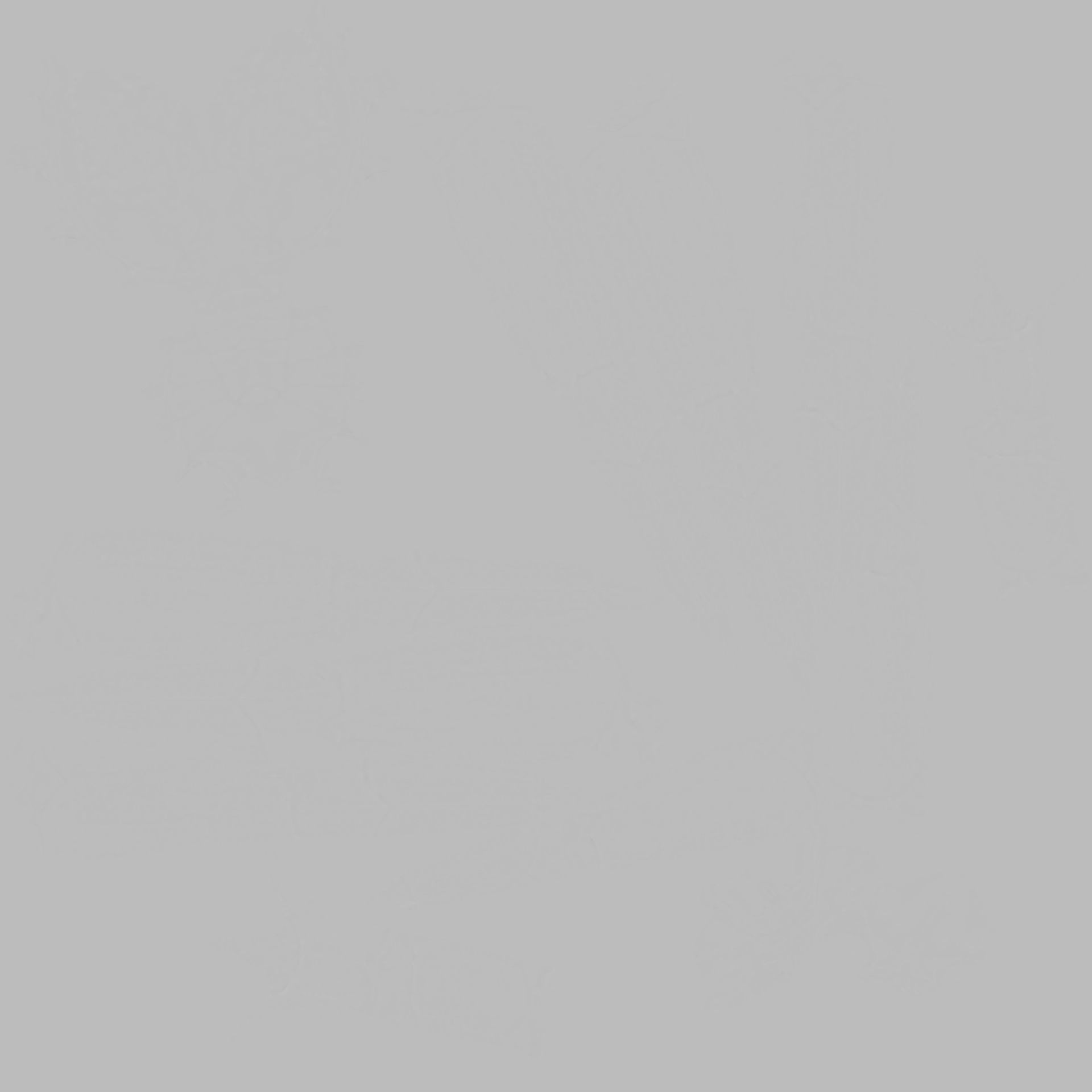 Snow crab 3D model_14