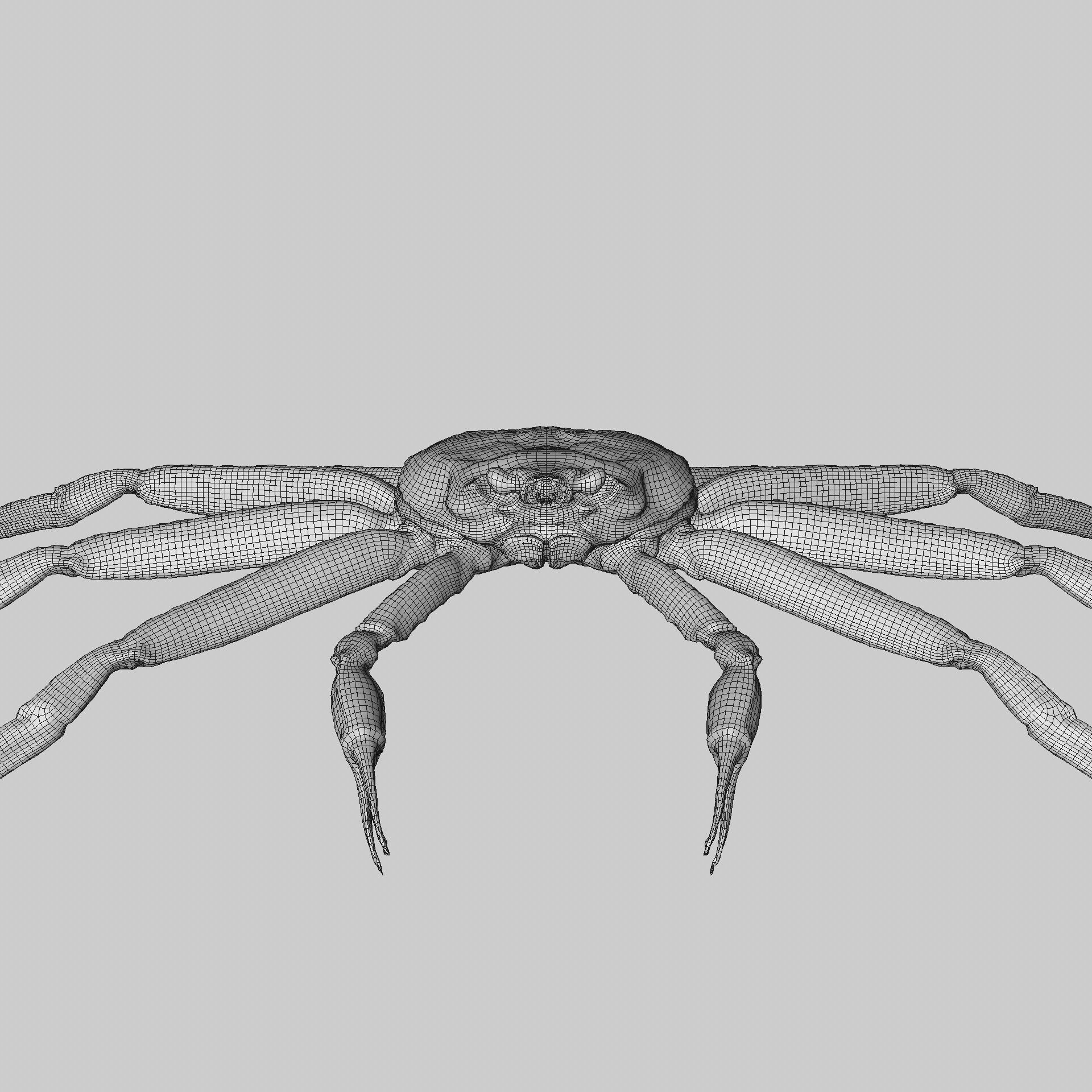 Snow crab 3D model_2
