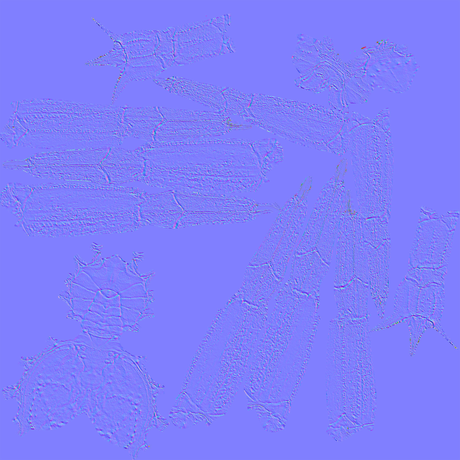 Snow crab 3D model_12