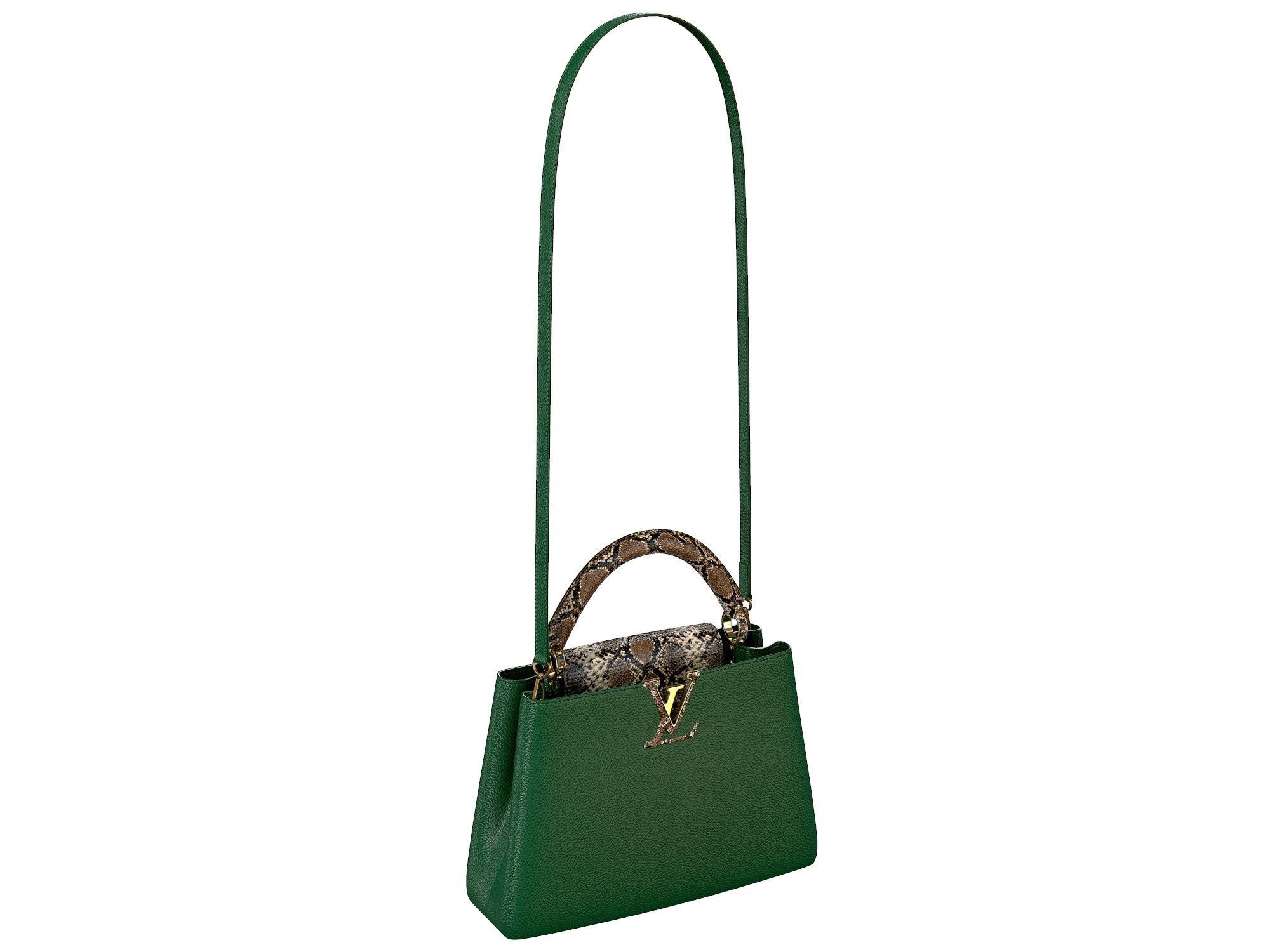 Louis Vuitton bag Capucines Green Snake Leather 3D model_2